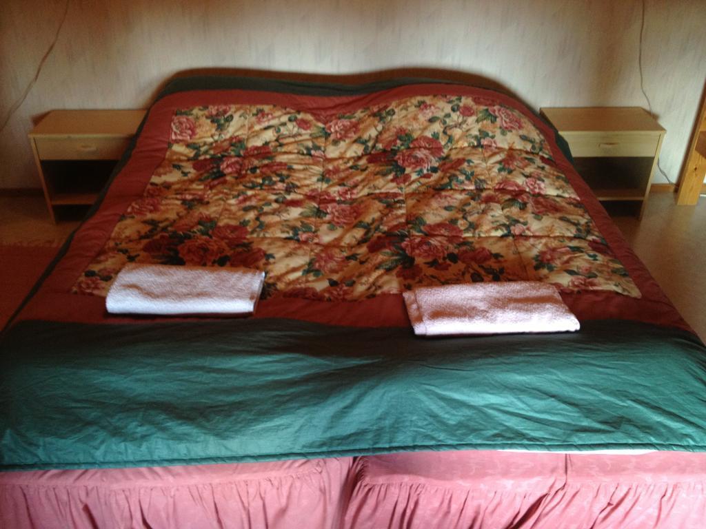 Hyvoelaen Talo Bed & Breakfast Ahtari Bilik gambar